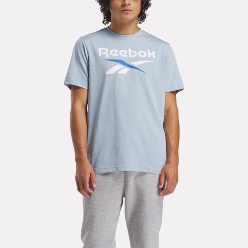 Polera Training | Reebok Identity Big Logo Tee | Hombre