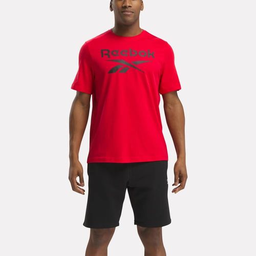 Polera Training | Reebok Identity Big Logo Tee | Hombre