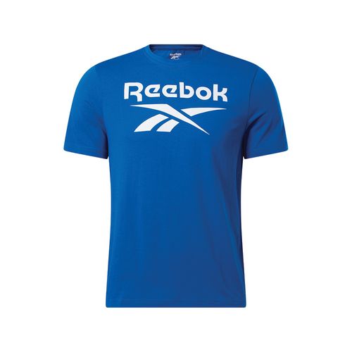 Polera Training | Ri Big Stacked Logo Tee | Hombre