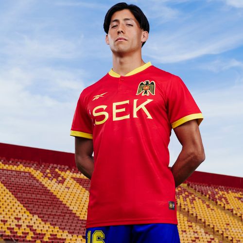 Polera Training | UE HOME JERSEY | Unisex